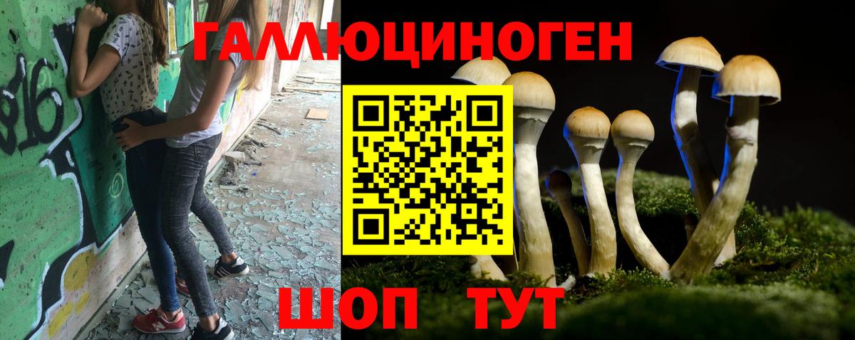 Псилоцибиновые грибы Cubensis Будённовск